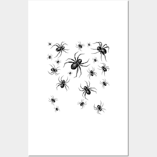 Spiders Posters and Art